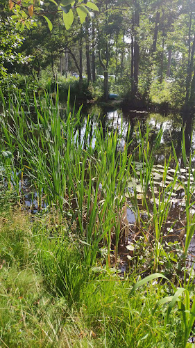 Måns Ols Utvärdshus Phone number