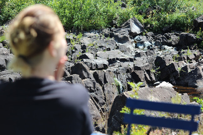 BRUS - Gastronomi och hotellverksamhet