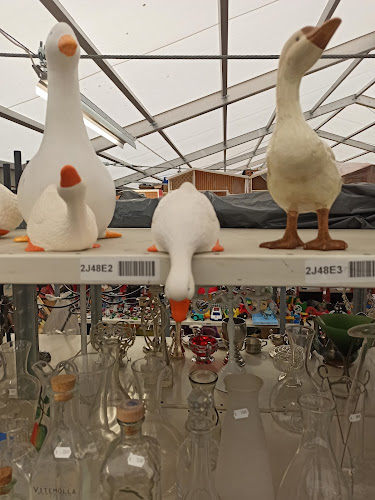 Reviews of Åhus Horna BK:s Loppis in Åhus - Gastronomi och hotellverksamhet