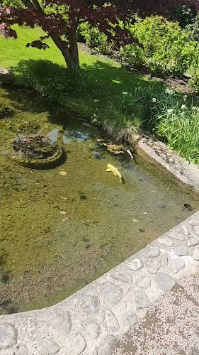 Opinii despre Orangeriet Restaurang în Båstad - Gastronomi och hotellverksamhet