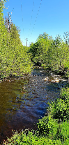 Comentarii opinii despre Sofias Restaurang