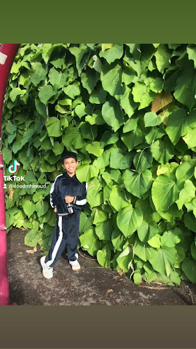 Fäboden i Säterdalen - Säter