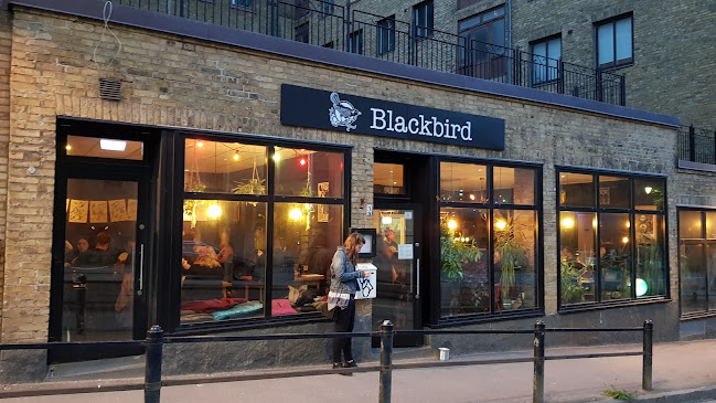 Comments and reviews of Blackbird