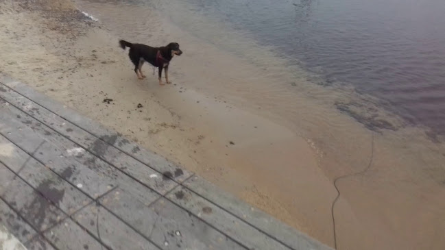 Opinii despre Simrishamns Grill Och GlassKiosk în Simrishamn - Gastronomi och hotellverksamhet