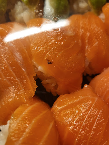 Selena Sushi - Gastronomi och hotellverksamhet