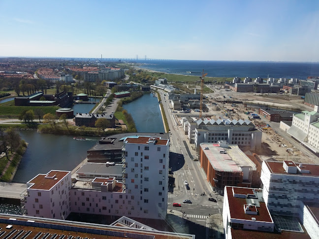 Lunch Restaurant Café Live Phone number