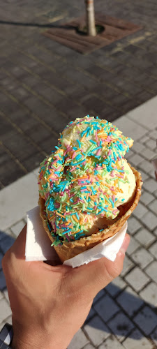 Comentarii opinii despre Dockside Glass