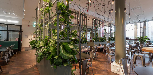 Bistro Sabis Råsunda