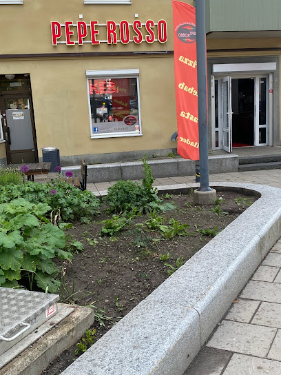 Pepe Rosso