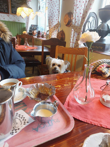 Comentarii opinii despre Café Rutiga Duken