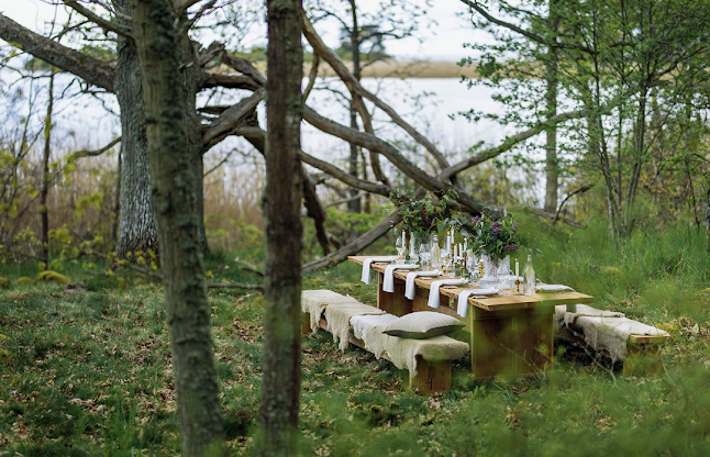 Opinii despre The Edible Country - Stufvenäs Småland în Söderåkra - Gastronomi och hotellverksamhet