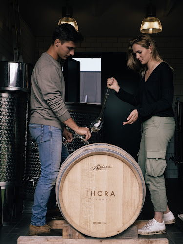 Comentarii opinii despre Thora Vingård