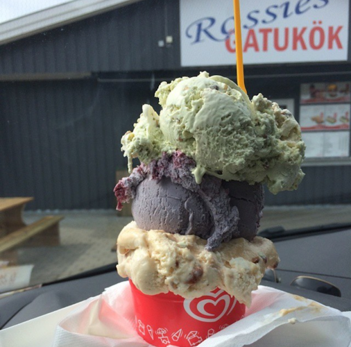 Nya Rossies Gatukök HB - Gastronomi och hotellverksamhet