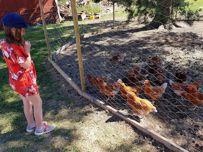 Yans gård och gårdscafé - Gastronomi och hotellverksamhet