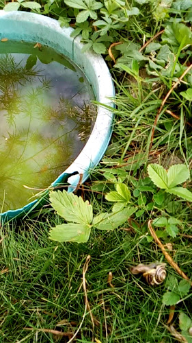 Espresso House Södertälje - Södertälje