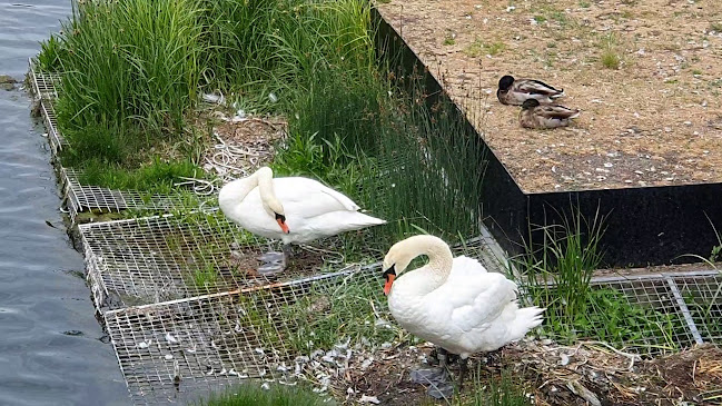 Banérskajen 13, 211 18 Malmö