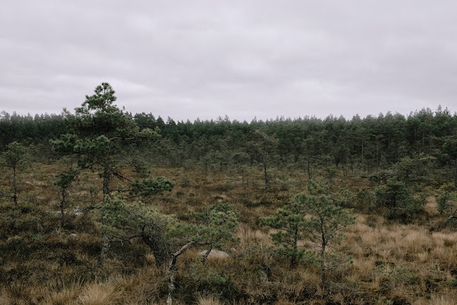 Comentarii opinii despre Hvildmarken