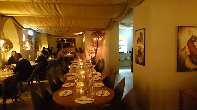 Occo Restaurant Phone number