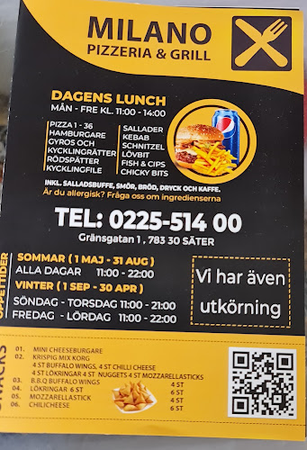 Opinii despre Pizzeria & grill MILANO în Säter - Gastronomi och hotellverksamhet