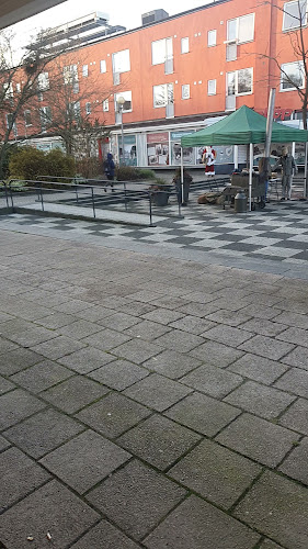 Comentarii opinii despre Dr Fries Pizzeria