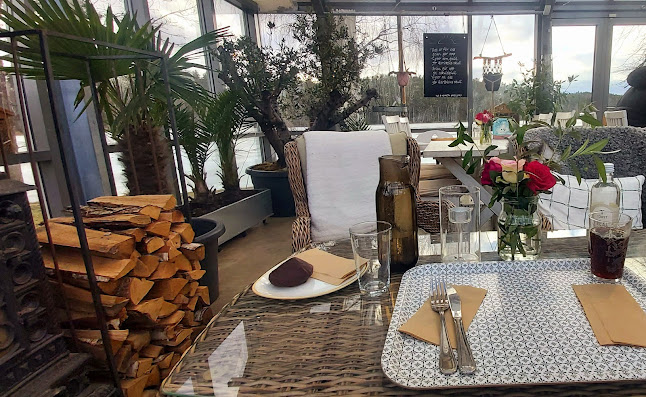 Comentarii opinii despre Tindered Trädgård Café