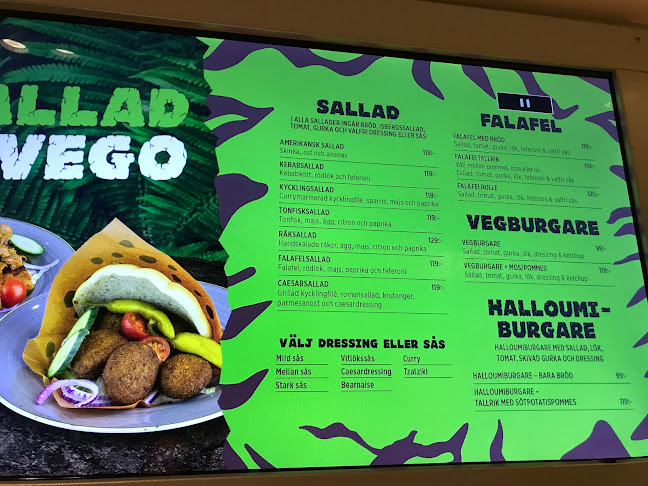 Comments and reviews of Flintston Backaplan