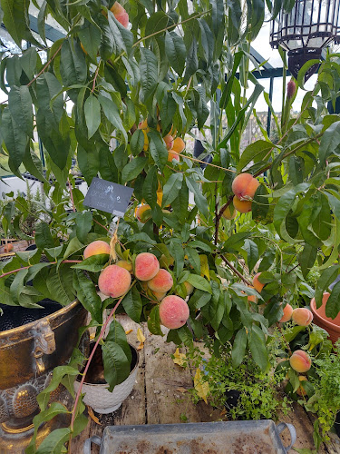 Österlenkryddor - Gastronomi och hotellverksamhet