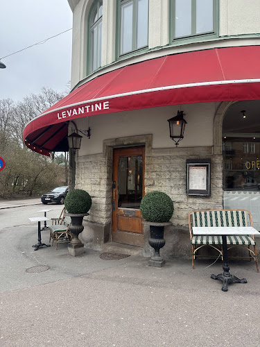 Comentarii opinii despre Levantine