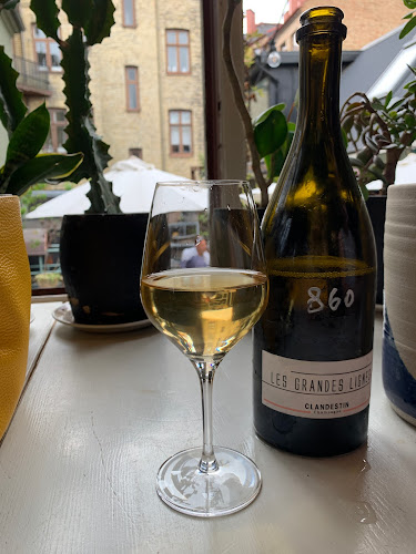 Comentarii opinii despre Julie Vinbar