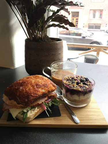 Comentarii opinii despre Domi