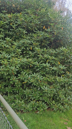 Södra Esplanaden 2, 352 35 Växjö