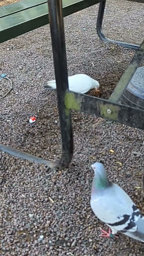 Opinii despre Fästningsparkens Kiosk och Gatukök în Kungälv - Gastronomi och hotellverksamhet