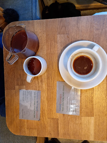 Reviews of Volca Coffee Roasters in Stockholm - Gastronomi och hotellverksamhet