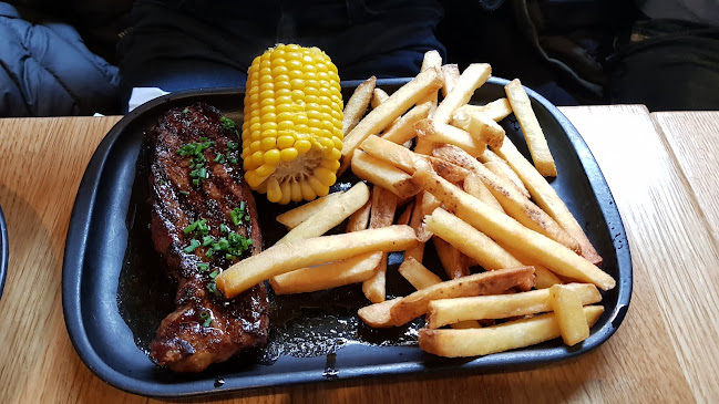 Texas Longhorn Norrtull