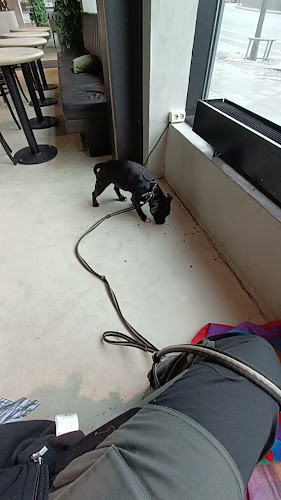 Opinii despre Bröd & Salt Hammarby în Stockholm - Gastronomi och hotellverksamhet