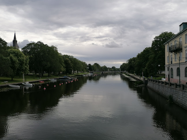 Comentarii opinii despre Bakgårn