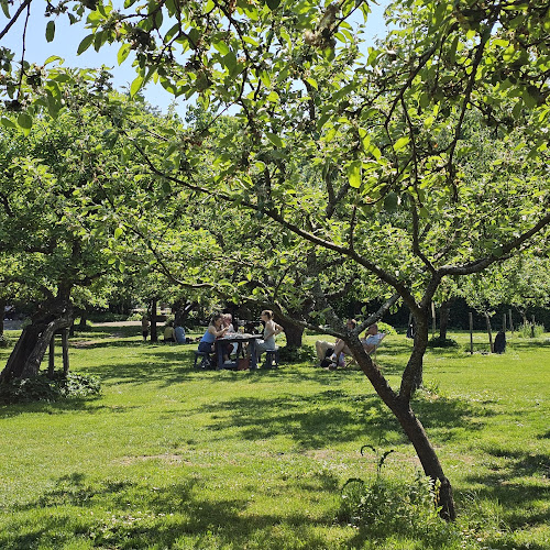 Rosendals Trädgårdskafé - Gastronomi och hotellverksamhet