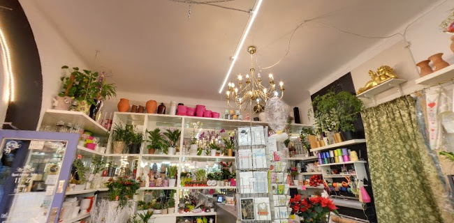 Blomsterjouren - Blommor Vasastan - Stockholm