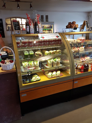 Hallongården - Trelleborg