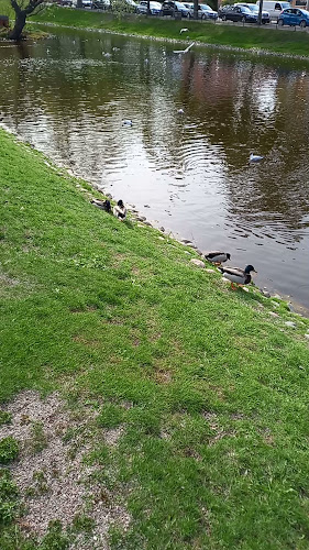 Café Årummet - Gastronomi och hotellverksamhet