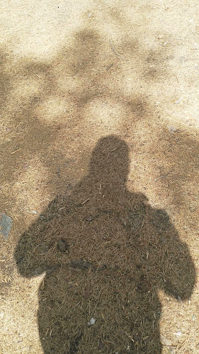 Opinii despre Almenäs Cafe în Borås - Gastronomi och hotellverksamhet