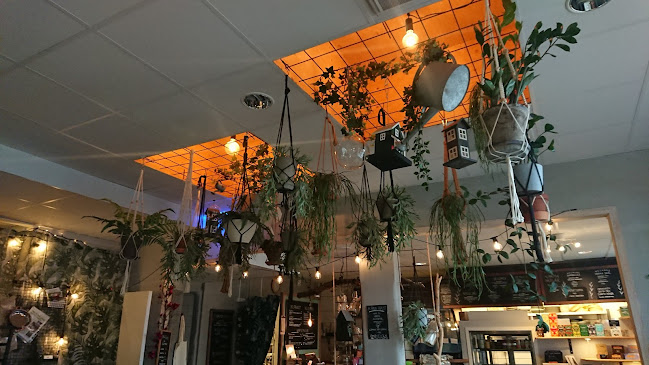 Comments and reviews of Zest - Karlstads Gröna Oas