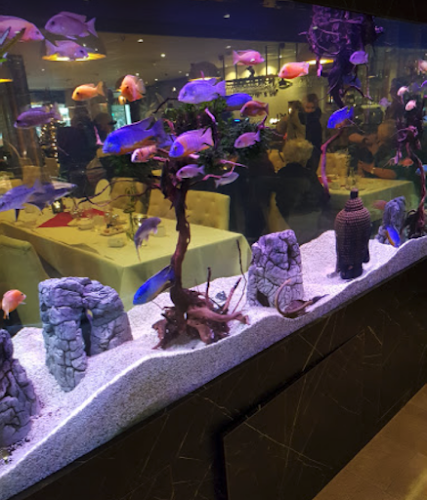 Basilika Kitchen & Bar - lunchbuffé i Jönköping - Jönköping