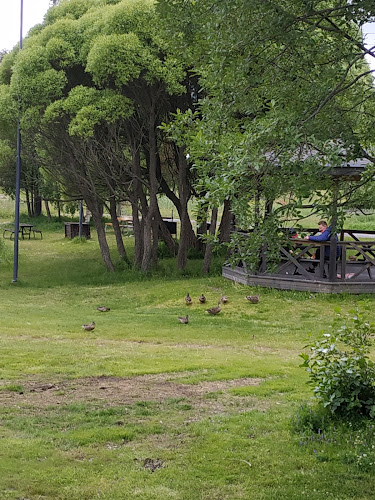 Centrumrestaurangen LTU - Gastronomi och hotellverksamhet