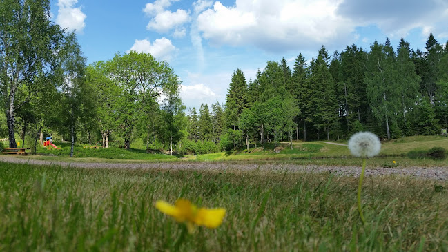 Comments and reviews of Rastplats Boråstorpet