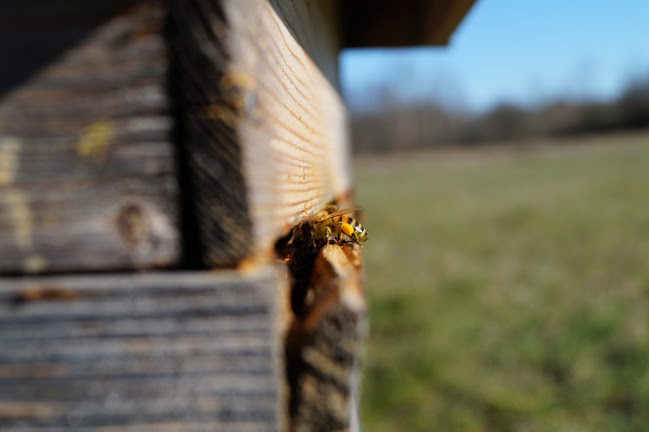 Nydala Bigård På Öland / Svenska Bivaxljus - Borgholm