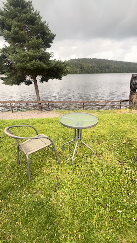 Comentarii opinii despre Värmskogs Café