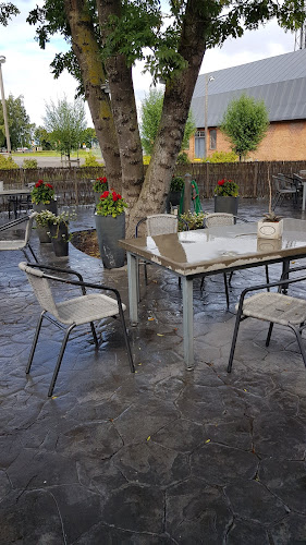 Comentarii opinii despre 1 KöK