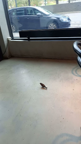 Bröd & Salt Hammarby