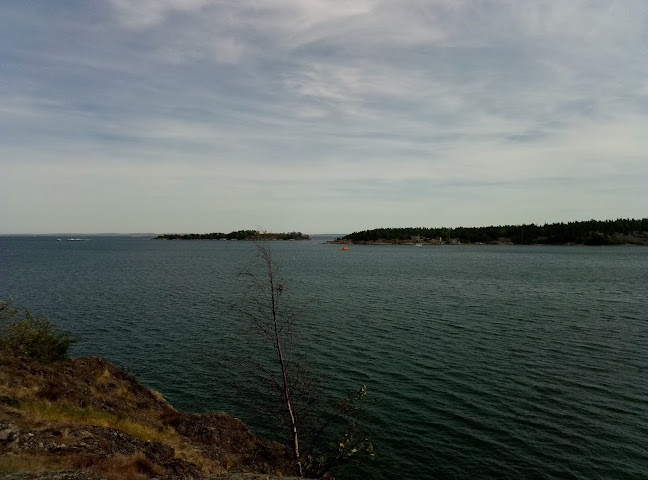 Comentarii opinii despre Waterfront restaurang beach bar